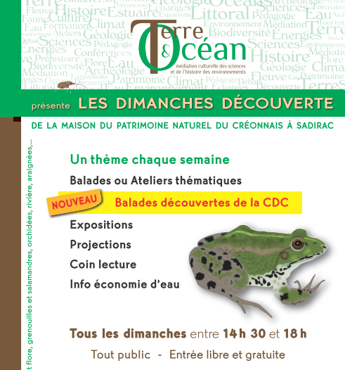 visuel programme dimanche